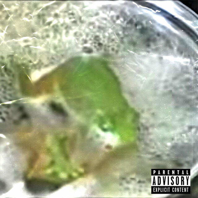 Cook Season cover