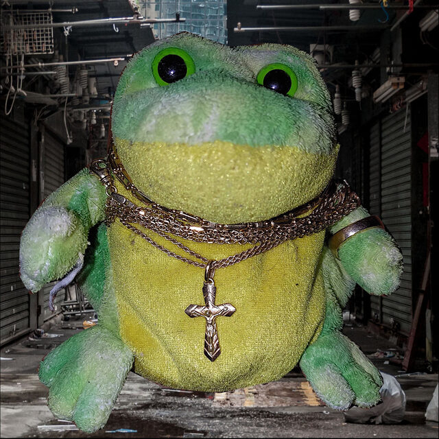 Frog from the Trenches cover