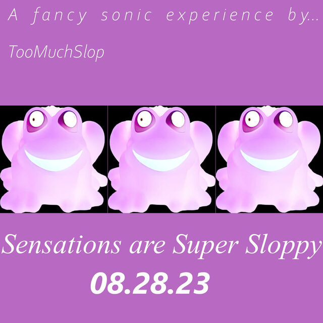 Sensations are Super Sloppy cover