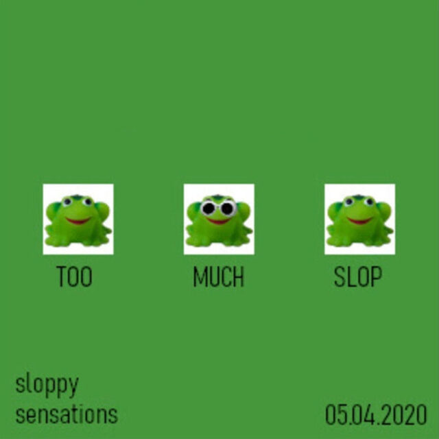 Sloppy Sensations cover